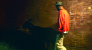 Kur - Money or friends