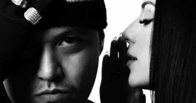 Nemz - Courtesy Favors 2