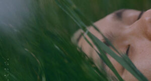 Seiji Oda - HUMANS [in] NATURE