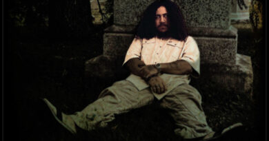 Seuss Mace - In a perfect world