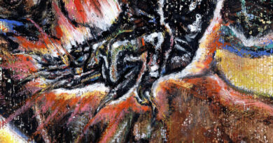 Shungu - Faith In The Unknown