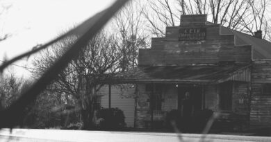 Trizz & Mike Summers - Flies, Maggots & Bugs