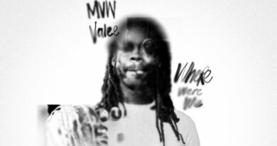 Valee & MVW - WHERE WERE WE