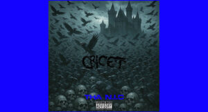 Cricet - Tha N.I.C