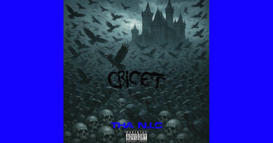 Cricet - Tha N.I.C
