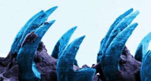 Deniro Farrar & Child Actor - Raw Materials