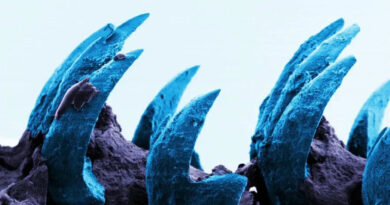 Deniro Farrar & Child Actor - Raw Materials