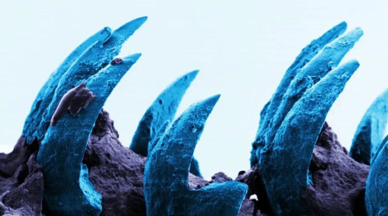 Deniro Farrar & Child Actor - Raw Materials