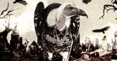 Doe Boy - PLAY YOU LAY