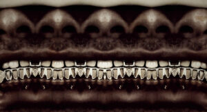 Free Zoey - What Happened To Zoey