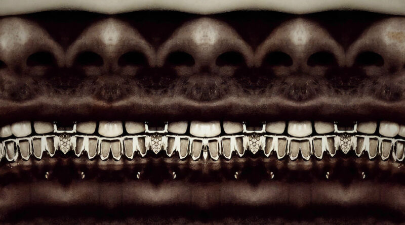 Free Zoey - What Happened To Zoey