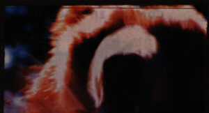 Jedi Mind Tricks - Animal Rap (EP)