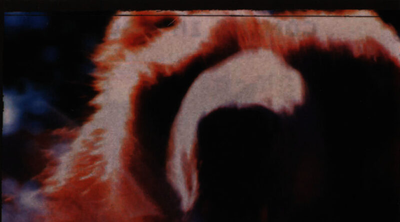 Jedi Mind Tricks - Animal Rap (EP)