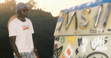 Kamau & DJ Grumble - MOOD SWINGS 2