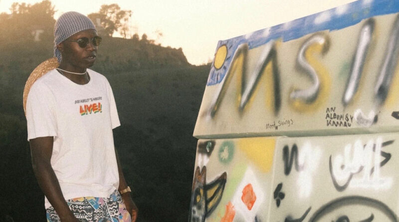 Kamau & DJ Grumble - MOOD SWINGS 2