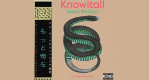 Nick Wilford & Knowitall - More Poison