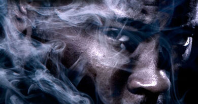 Reef the Lost Cauze - A Vicious Cycle