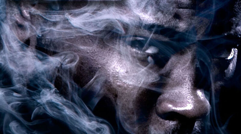 Reef the Lost Cauze - A Vicious Cycle