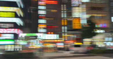 Vonte - #Lost #In #Translation