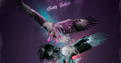 Amg Twinz - Dirty Birds