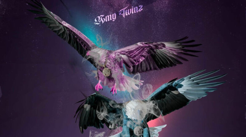 Amg Twinz - Dirty Birds