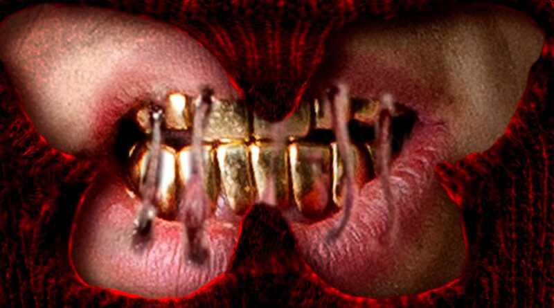 BLP Kosher - Butterfly Stitches