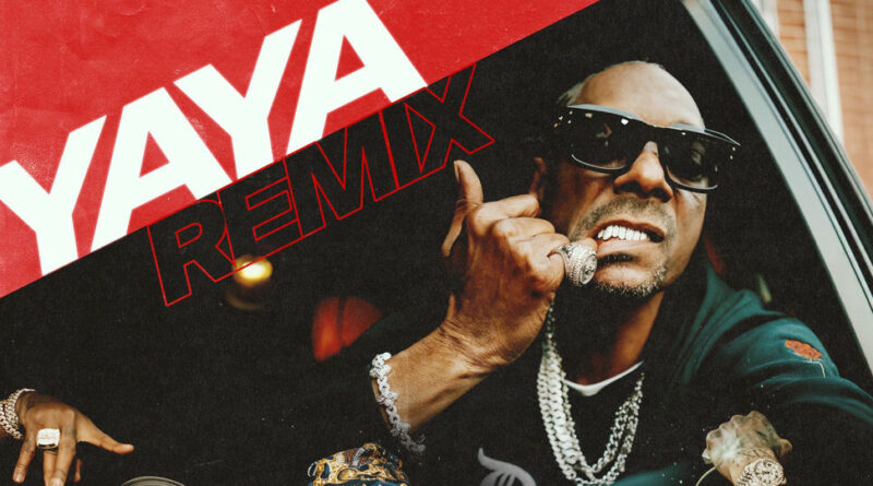 Compton AV, Steelz, Snoop Dogg & 310babii - YAYA (Remix)