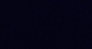 Kodak Black - CAN'T TAMPA WIT IT