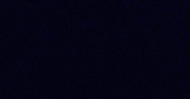 Kodak Black - CAN'T TAMPA WIT IT