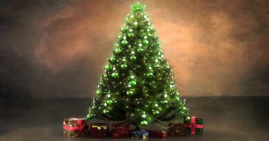 SLIZZY ENT - MERRY SLIZZMAS