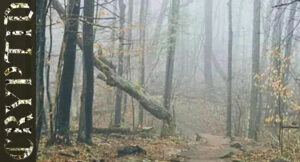 Slawth - Cryptid Volume 2