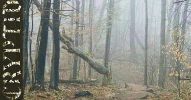 Slawth - Cryptid Volume 2