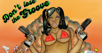 Vayda - Dont Lose The Groove