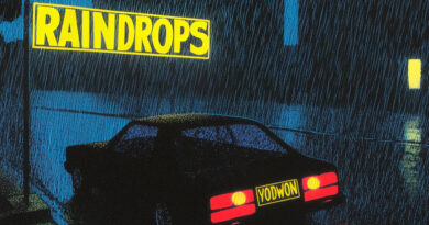 Your Old Droog - RAINDROPS