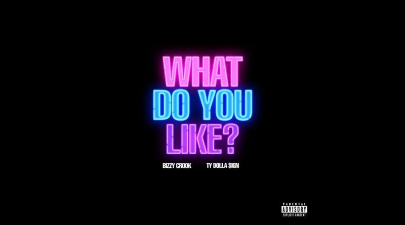 Bizzy Crook - What Do You Like