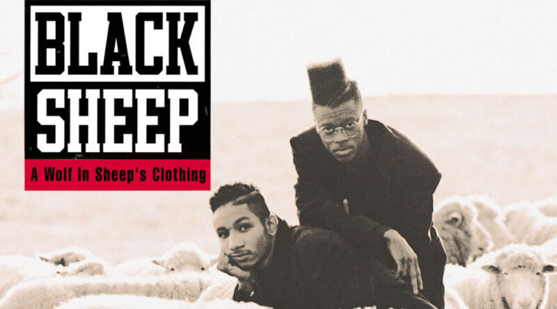 Black Sheep - A Wolf In Sheep's Clothing