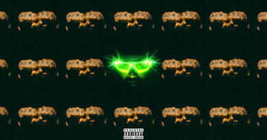 BoriRock - SUPREME ZINGER