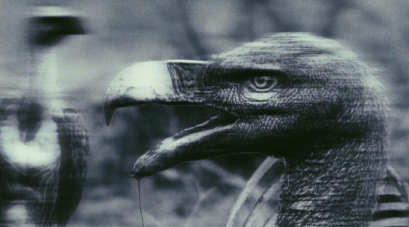 Death Dealers Anonymous & Robbin Special - Death On Discount