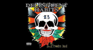 Delinquent Habits - Freedom Band