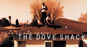 Dove Shack - This Is The Shack