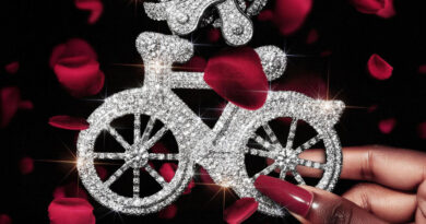 GMY Ville - Bad Bitches Love Trap Niggas