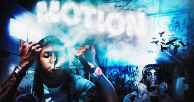 HavinMotion - How Life Been