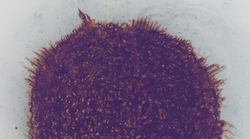 Jeremy Street & Don Johnson - Common Ground