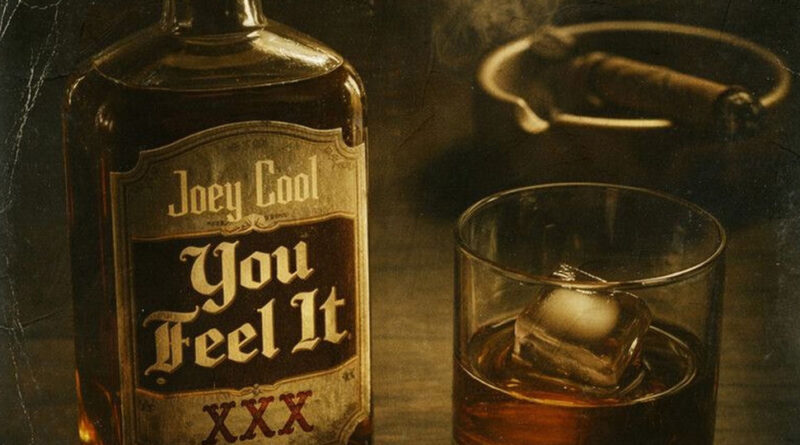 Joey Cool - You Feel It