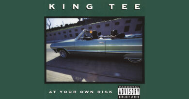 King Tee - At Your Own Risk