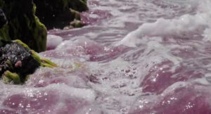 LUCKI - Not So Virgo of You