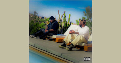 Rexx Life Raj & ReeceBeats - Temporary Pain