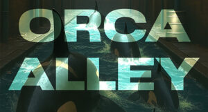 Rich The Factor - Orca Alley