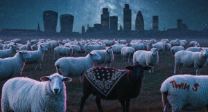 Twin S - Black Sheep