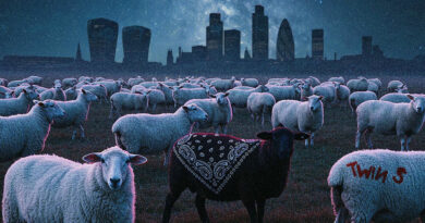 Twin S - Black Sheep